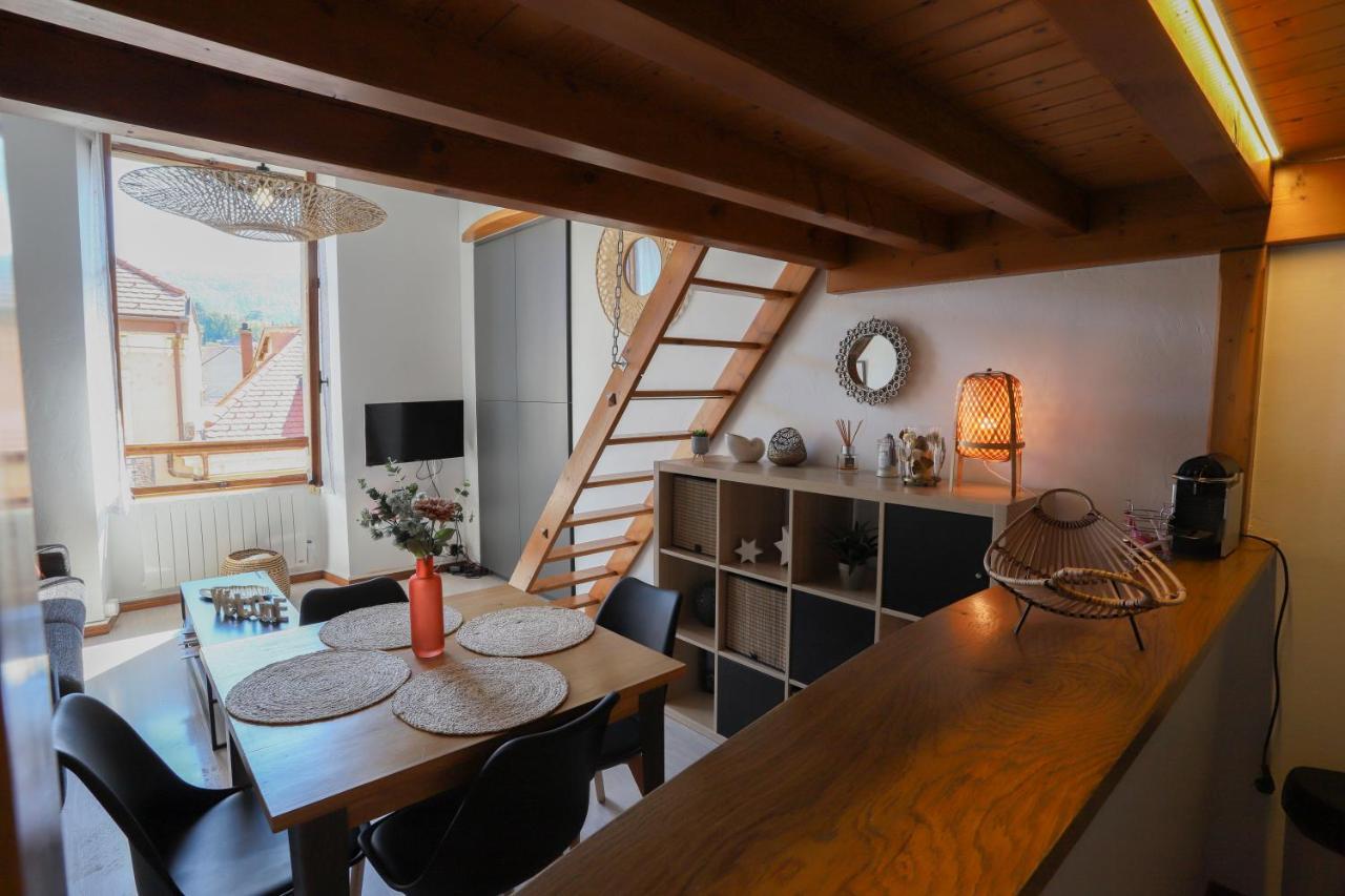 Royalement Bien ! Hyper-Centre - Wifi - Netflix - Disney Plus Annecy Bagian luar foto